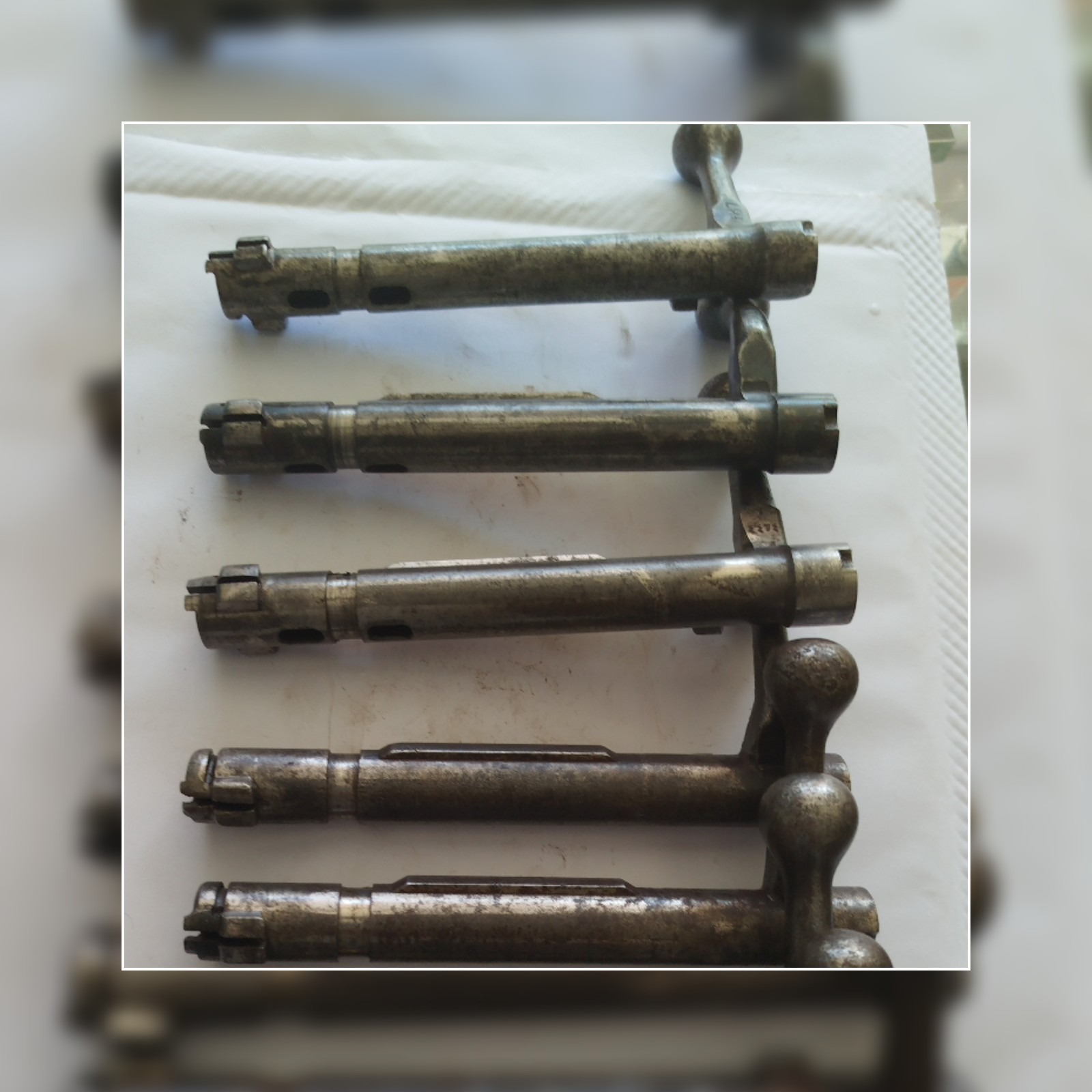 پوسته گلن کوتاه برنو یگسلاو فابریک