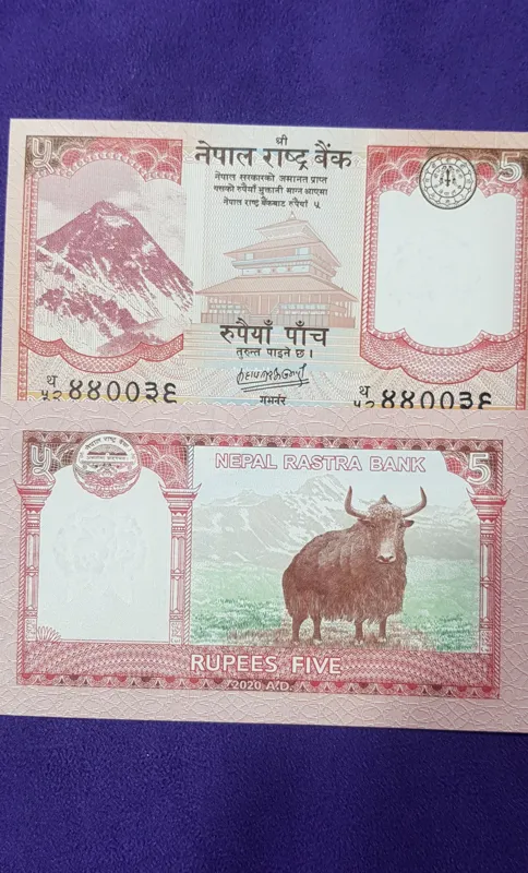 جفت اسکناس 50 روپیه نپال