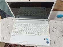 لپ