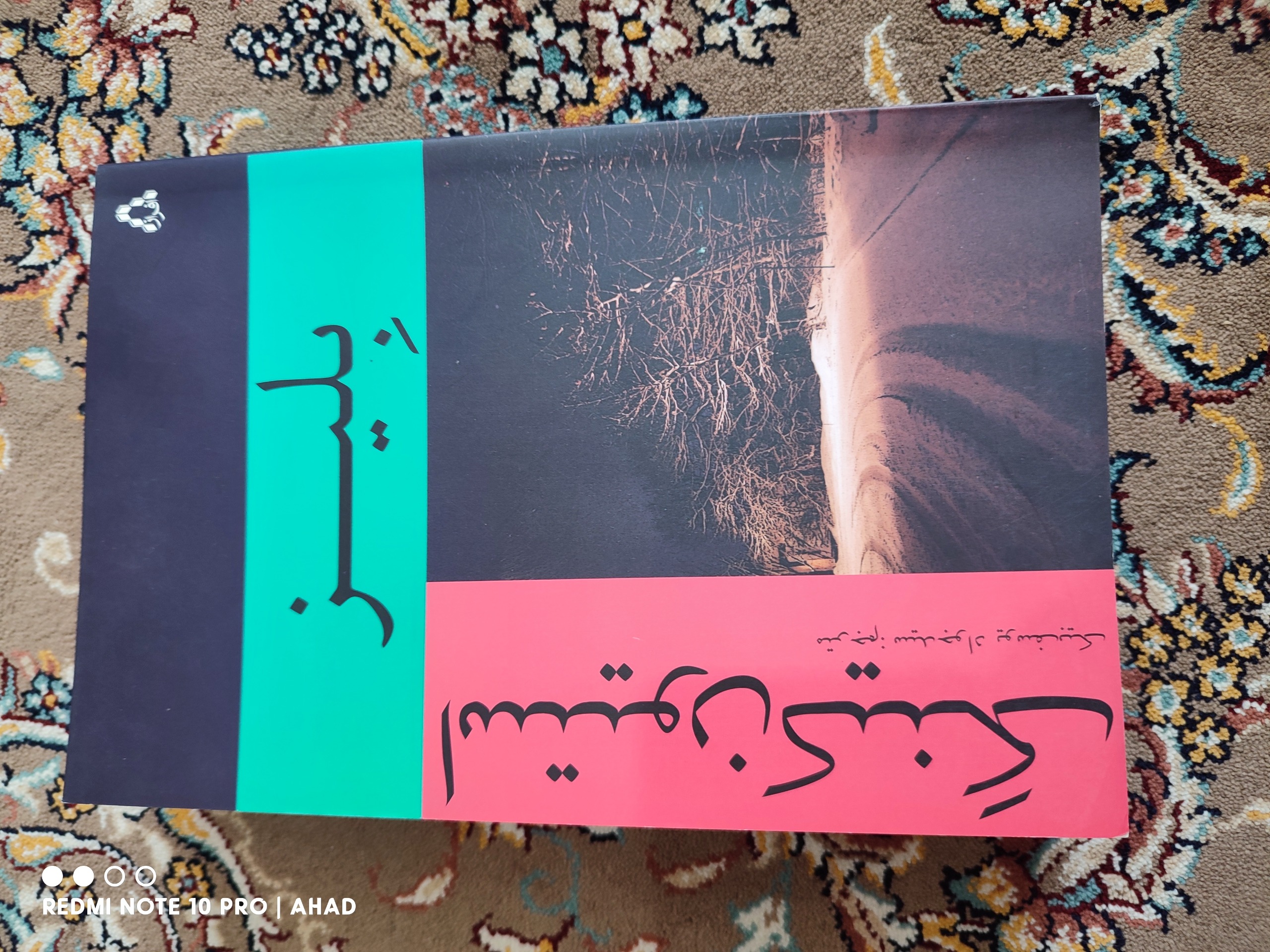 بلیز استیون کینگ