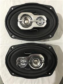 Pioneer