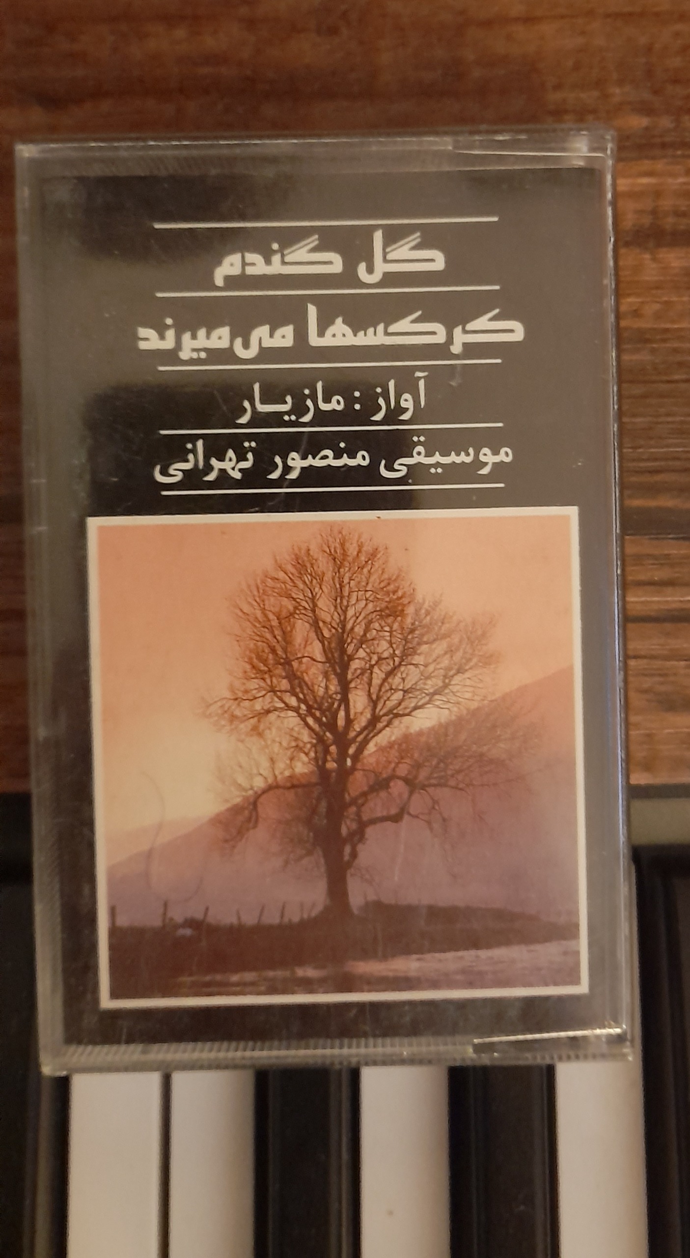 البوم موسیقی نوار کاست