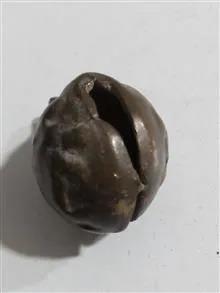 زنگوله