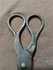 قیچی