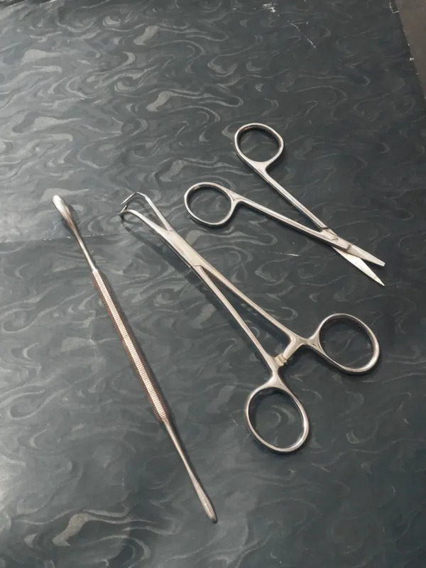 قیچی و پنس کلکسیونی