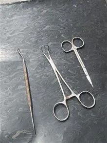 قیچی
