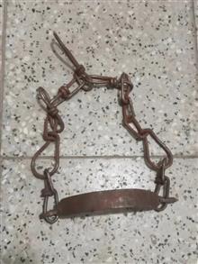 زنجیر
