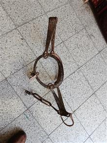 تله