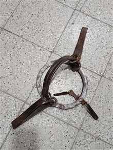 تله