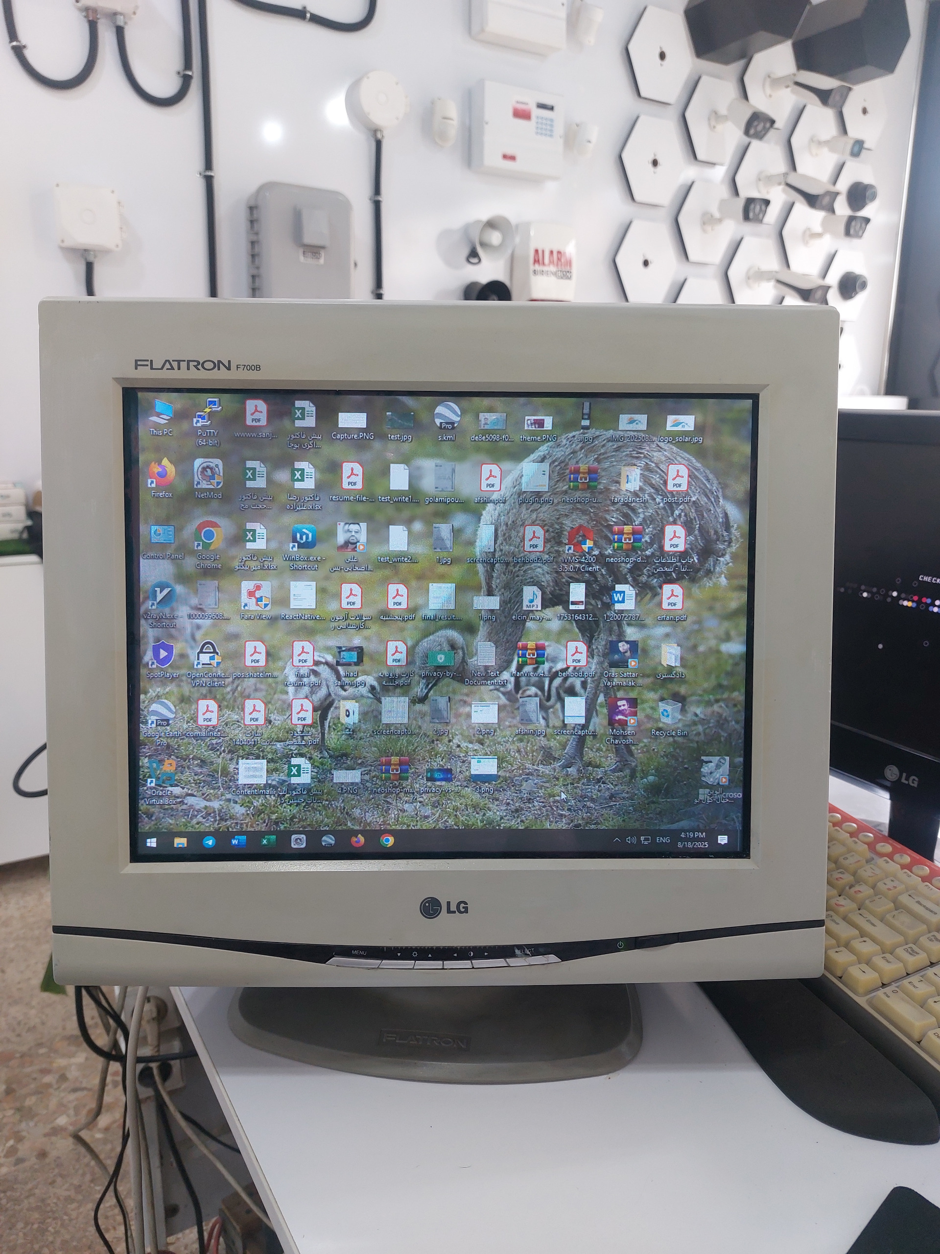 مانیتور LG  17 اینچ