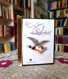 فیلم