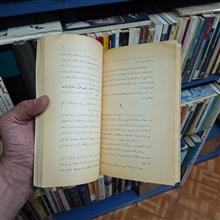 مورچگان
