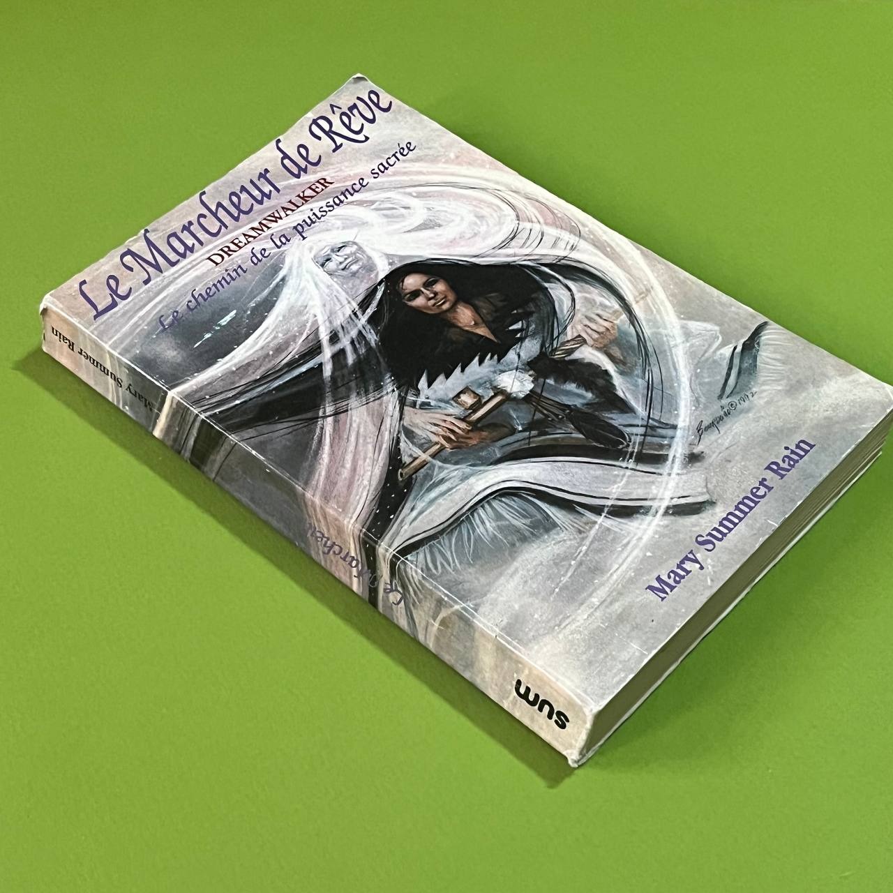 Le Marcheur de Rêve Mary Summer Rain