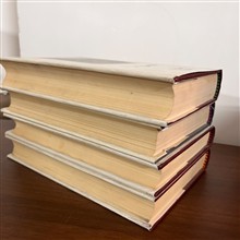 شقایق