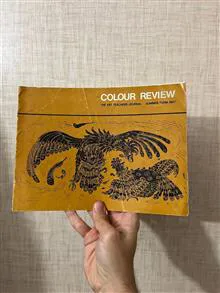 COLOUR