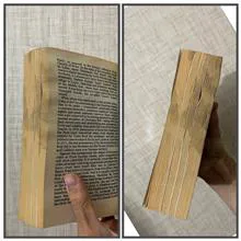 THE