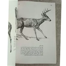 طراحی