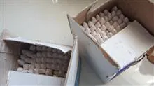 گچ