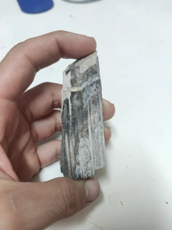 سنگ راف شبق یا چوب سنگ