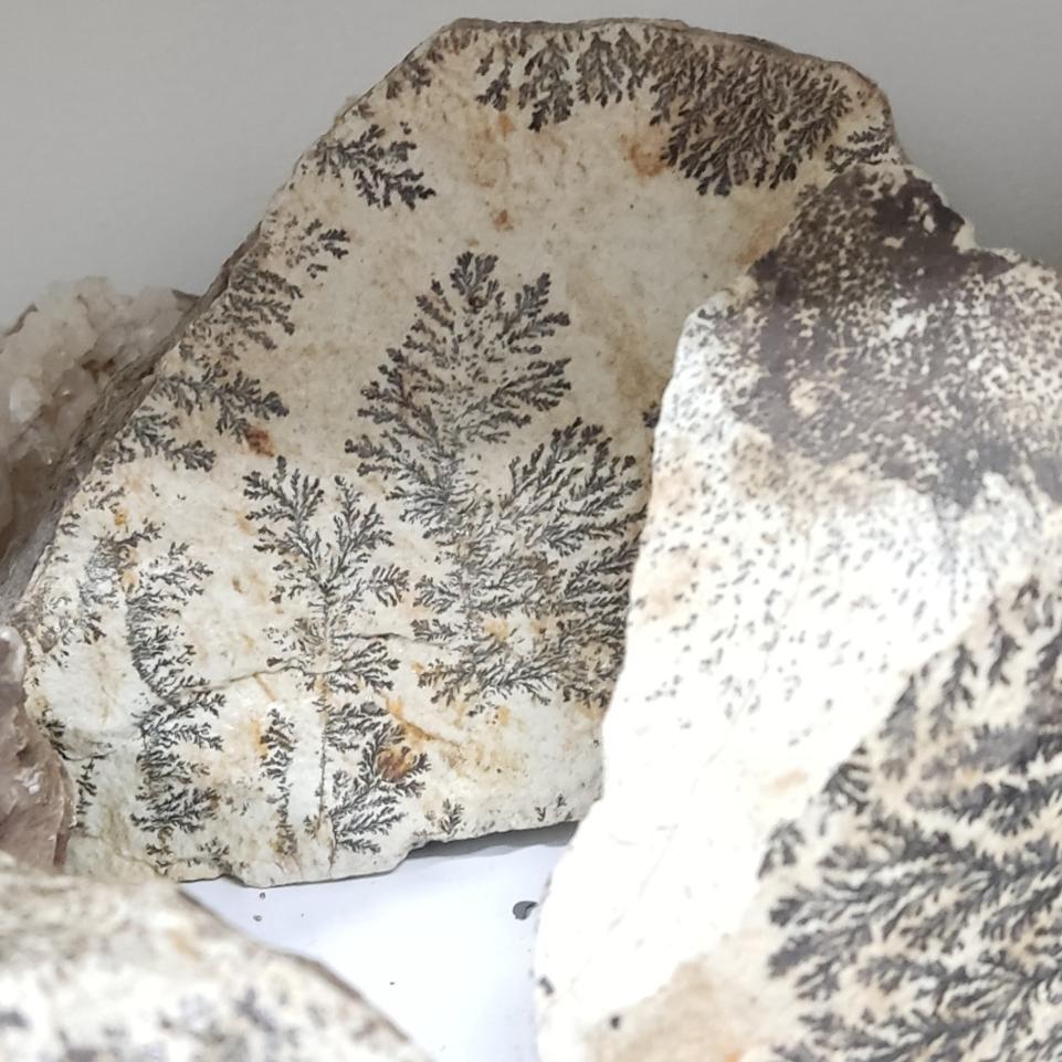 سنگ شجر دندریت