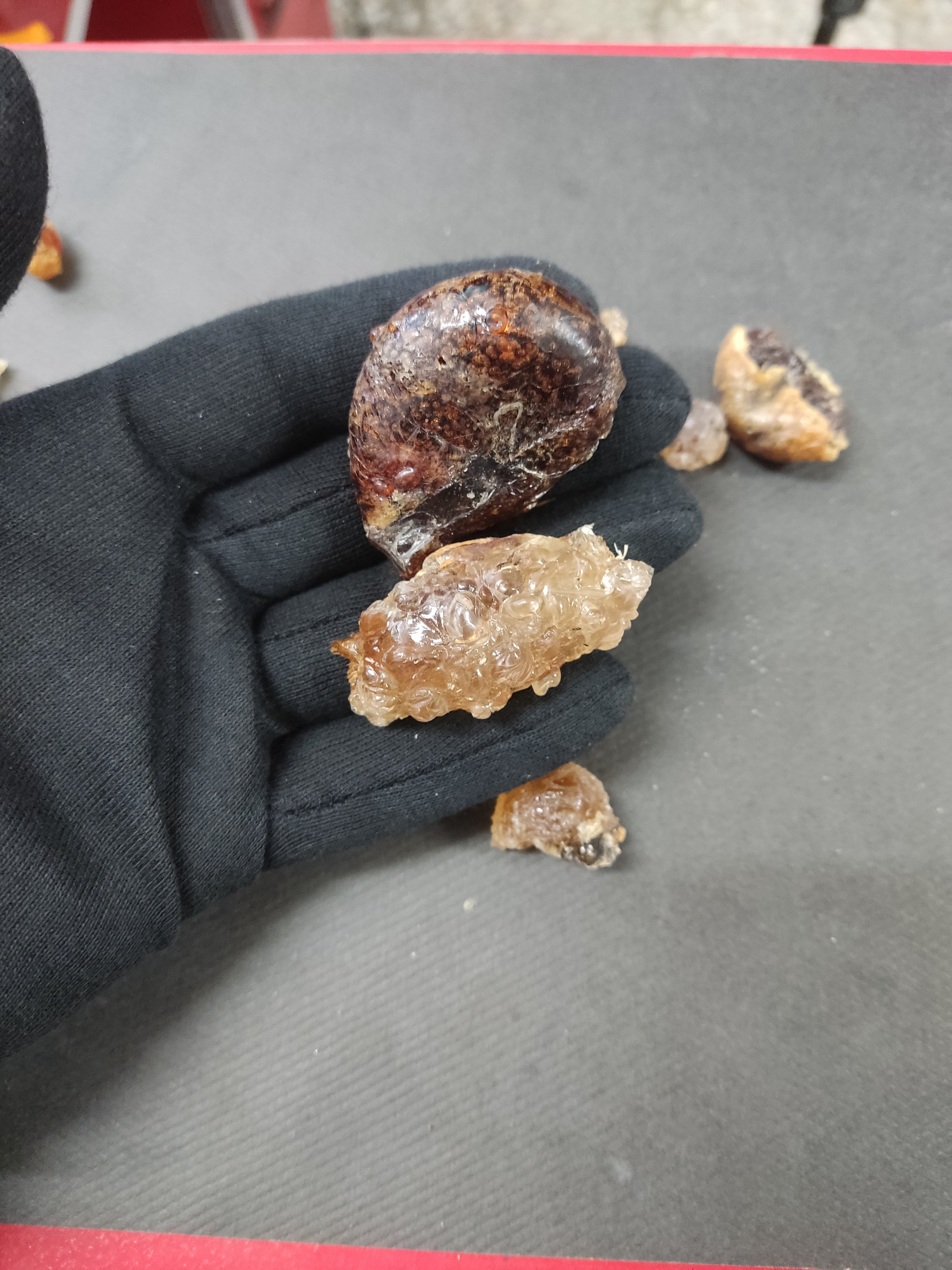 کهربا طبیعی راف