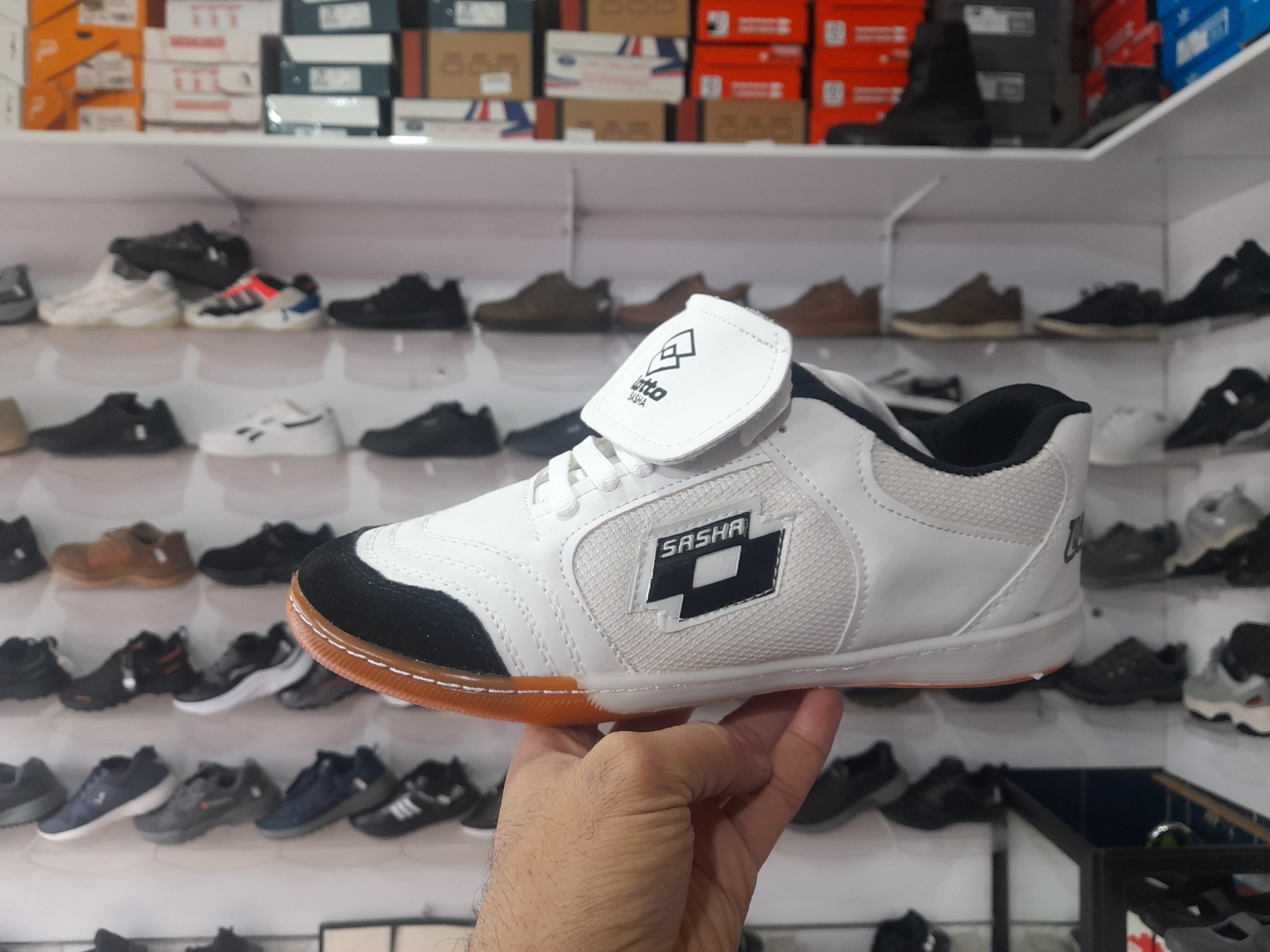 کفش سالنی لوتو سایز 40