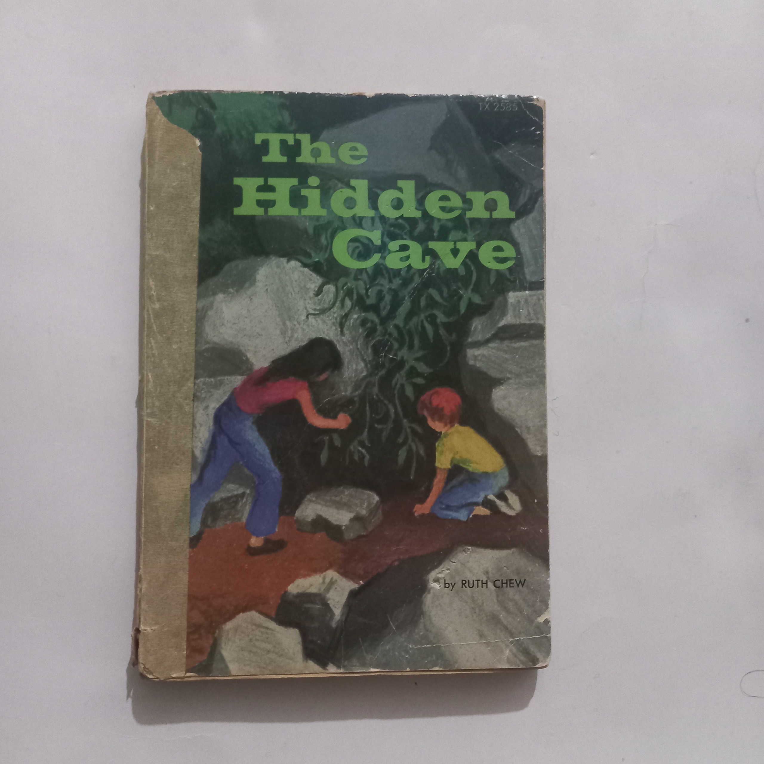 The Hidden Face Ruth Chew