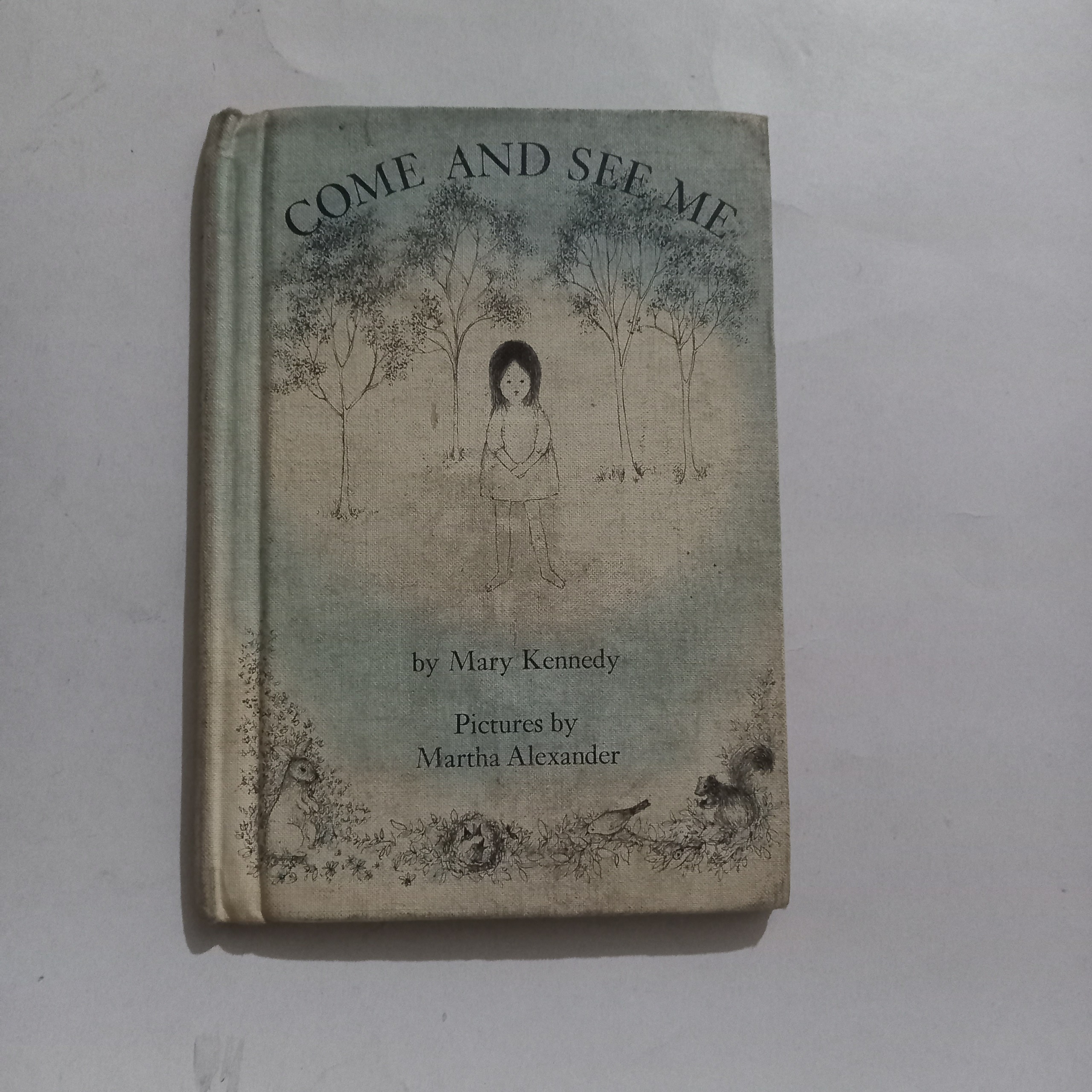 Come and See Me by Mary Kennedy