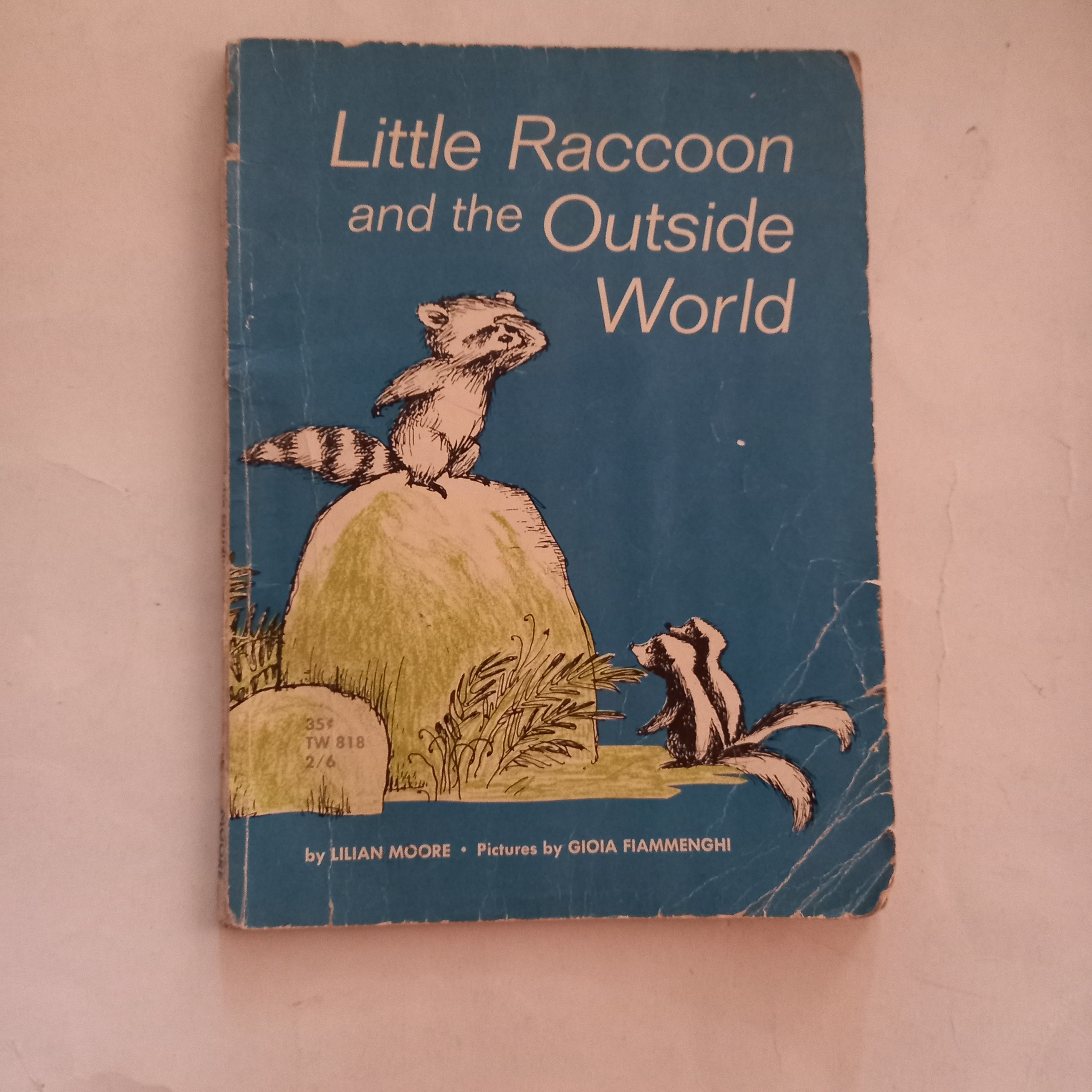 Little Raccoon and the Outside World