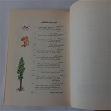 گیاه