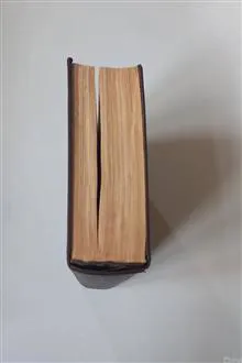 دیوان