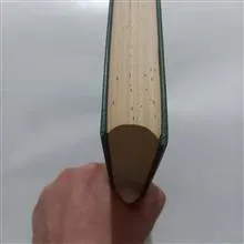 خاطرات