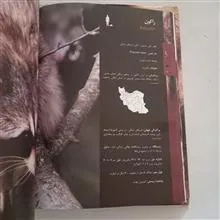 خرس