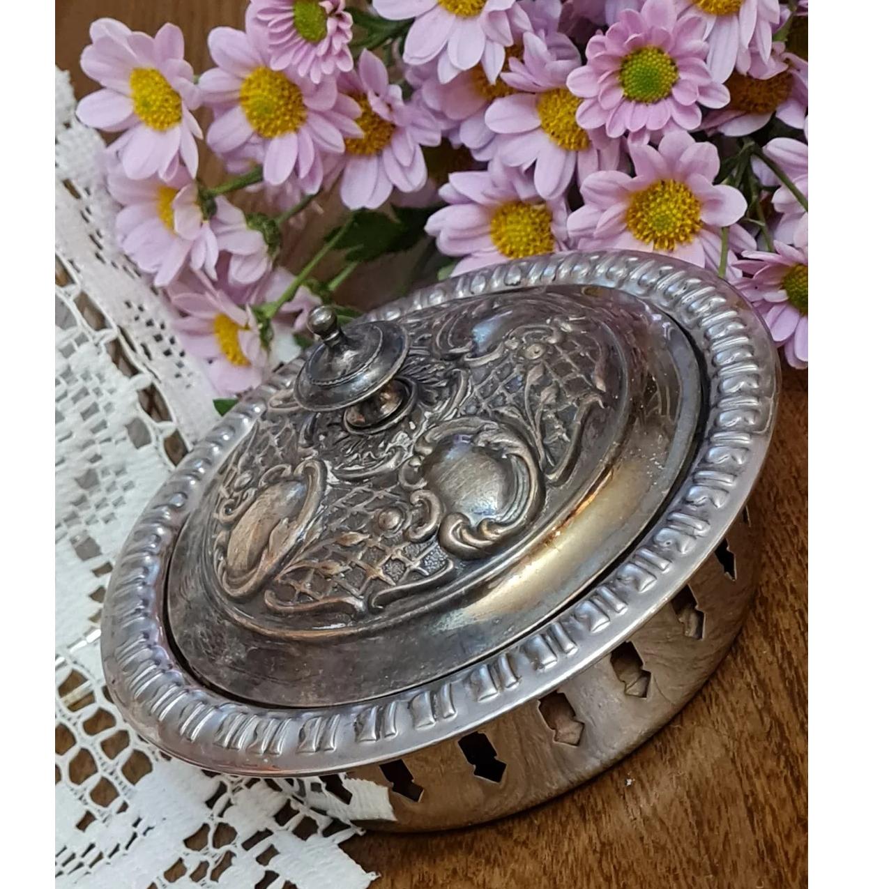 تنقلاتخوری سیلور اروپایی