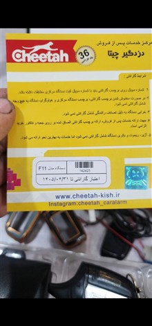 دزدگیر