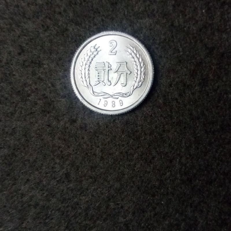 سکه 2 فن چین 1989
