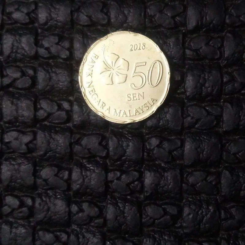 سکه 50 سن مالزی__2018