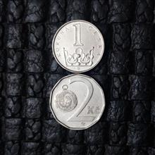 2سکه