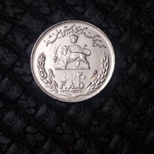 سکه