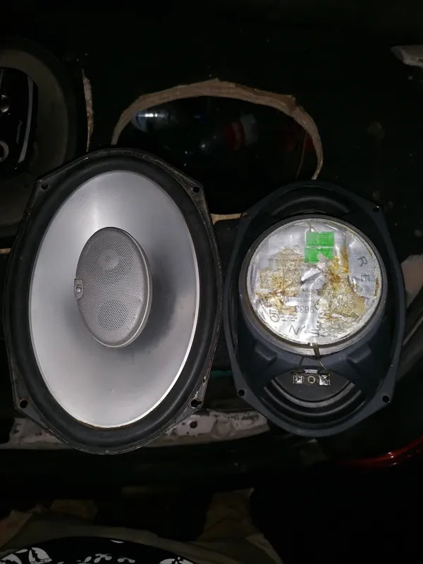 باند اینفینیتی آمریکا