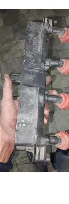 کوئل