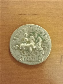 سکه