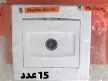 30
