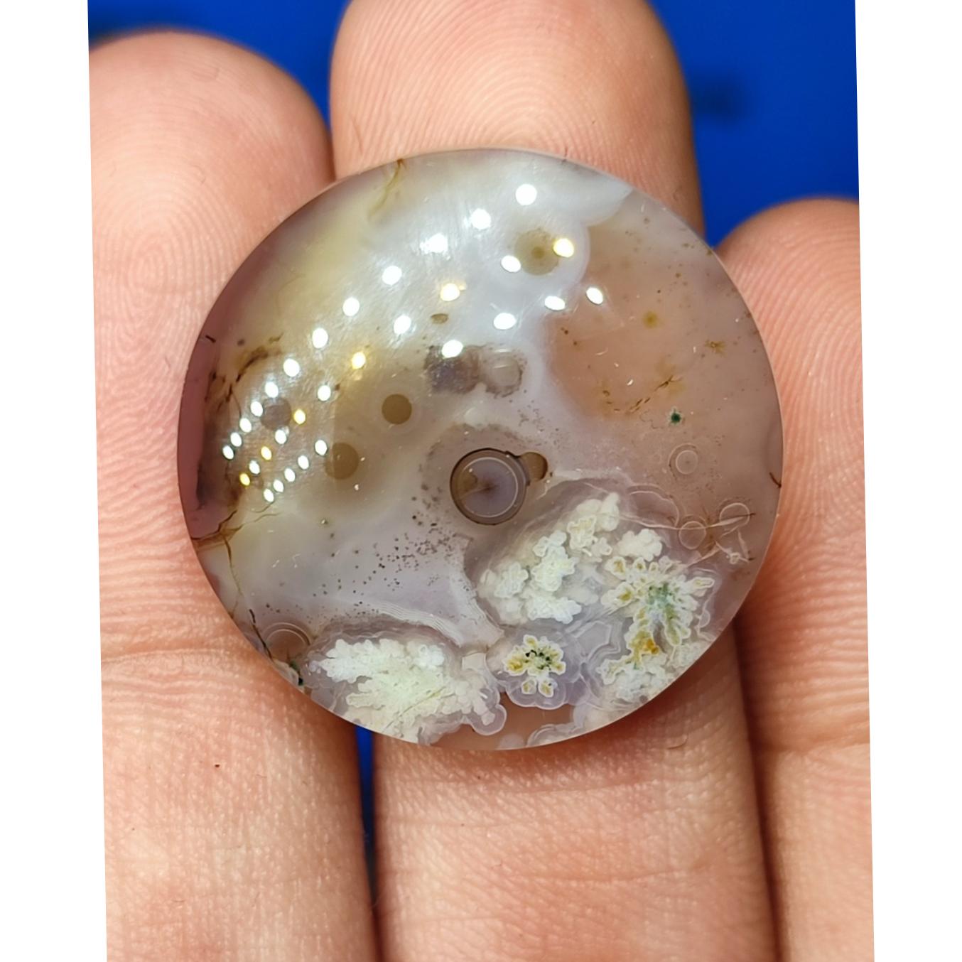 نگین شجر و باباقوری