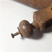 شاهین