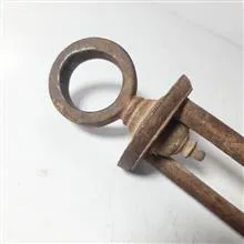 شاهین