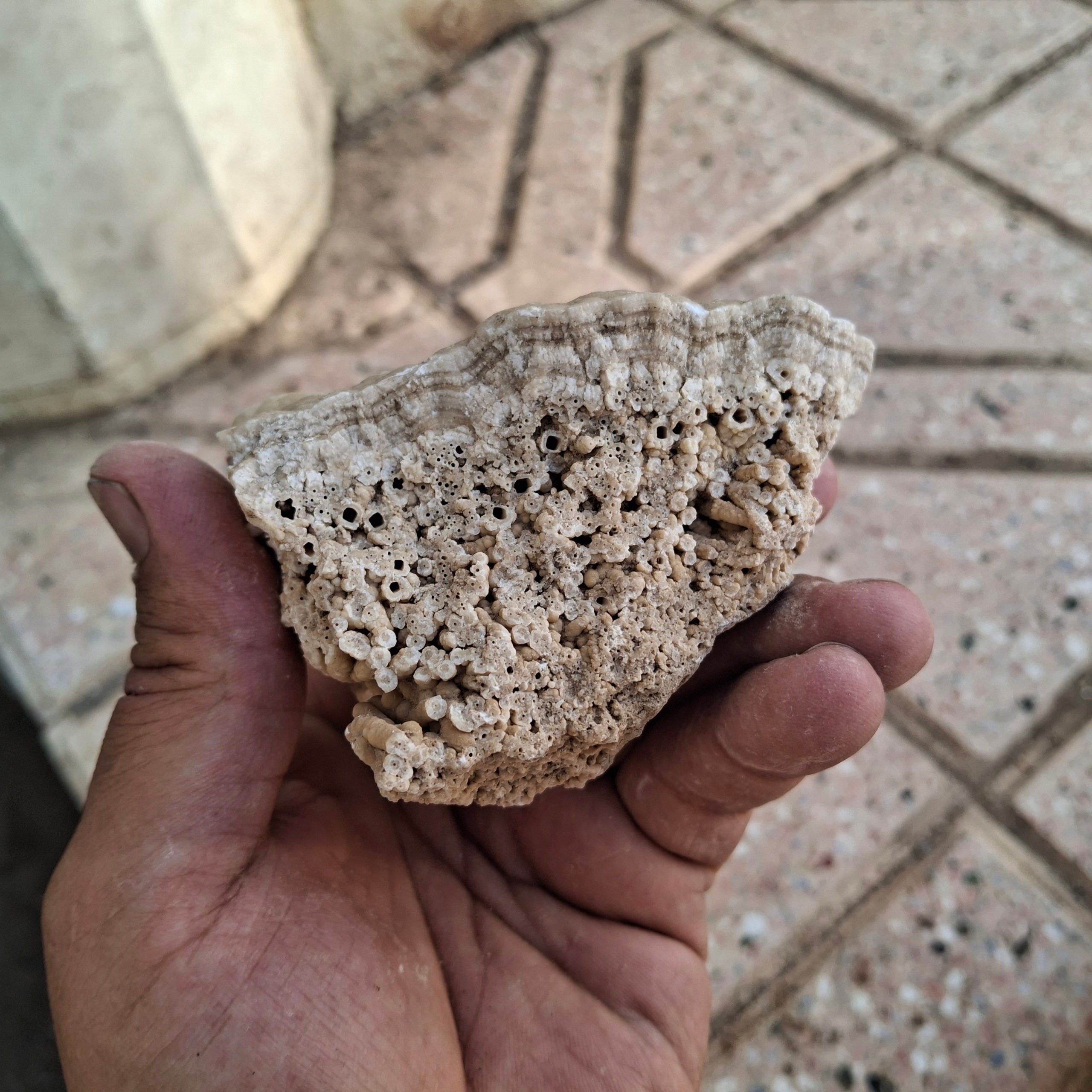 سنگ رسوبی قدمت بالا