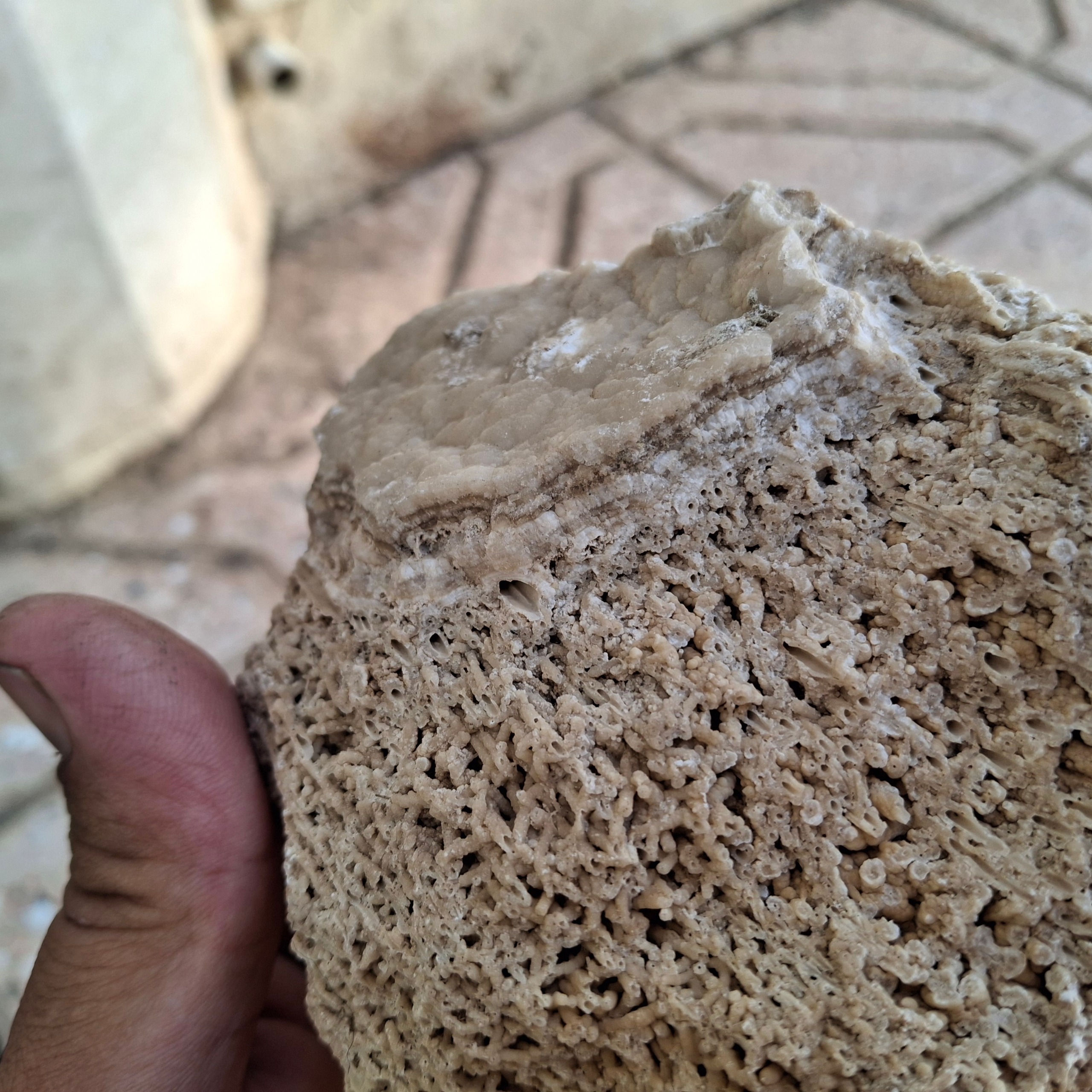 سنگ رسوبی چند هزار ساله