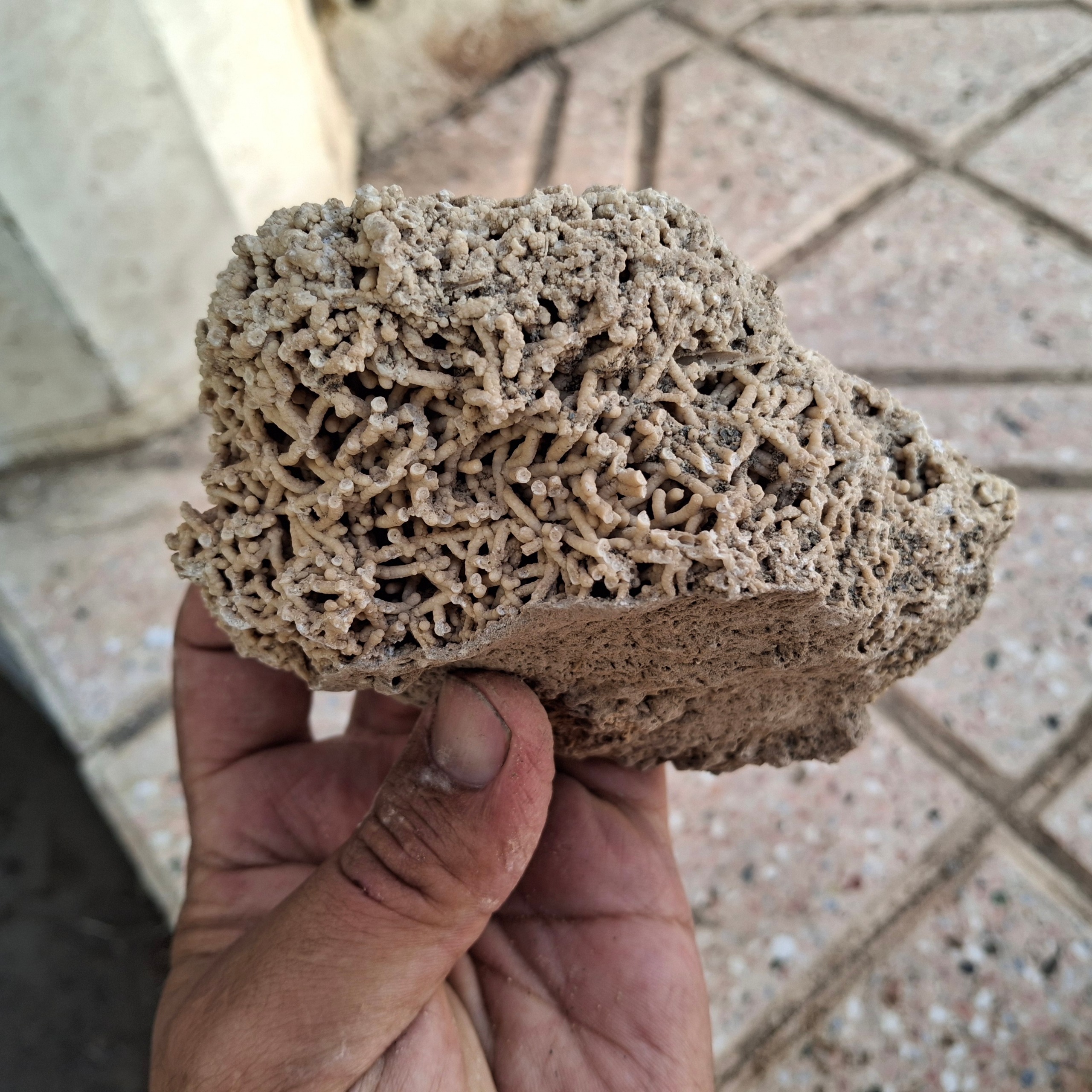 سنگ رسوبی قدمت بالا