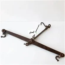 شاهین